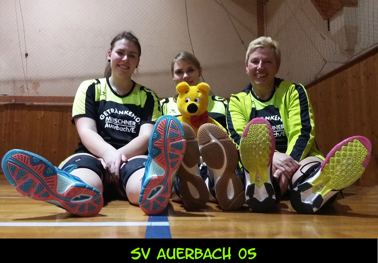 https://www.svauerbach05.de/images/Volleyball/2018_0409/2018_0409_02.jpg